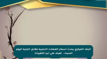 البنك المركزي يحدث أسعار العملات الأجنبية مقابل الجنيه اليوم السبت.. تعرف على أبرز التغيرات